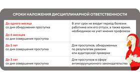 Что является взысканием: понятие и виды в Аптека Озерки