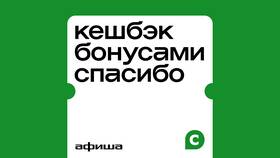 Как начисляются бонусы СберСпасибо от Сбербанка в Аптека Озерки