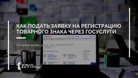 Как оформить ЭПТС через Госуслуги в Аптека Озерки