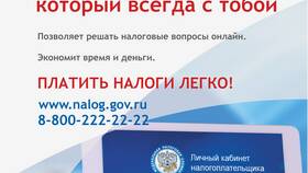 Как оплатить Кабинет налогоплательщика через интернет в Аптека Озерки