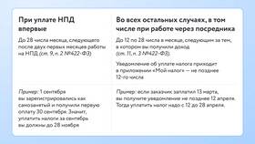 Как платить налоги и взносы ИП в 2024 году в Аптека Озерки