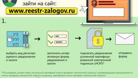 Как правильно подать уведомление о наличии имущества в Аптека Озерки