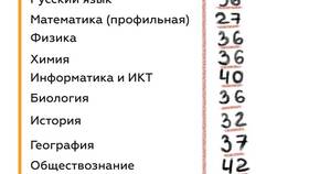 Как проверить результаты экзаменов и проверок через Госуслуги в Аптека Озерки