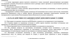Как рассчитываются алименты с самозанятого