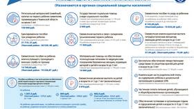 Материнский капитал как мера социальной поддержки семей в Аптека Озерки