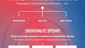 Окно ФНС: что это и для чего используется в Аптека Озерки