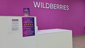 Покупка на Wildberries как юридическое лицо в Аптека Озерки