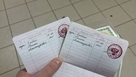 Процедура внесения данных о ребенке в паспорт через Госуслуги в Аптека Озерки